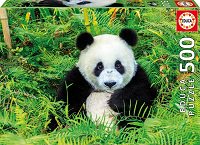 500 Oso Panda