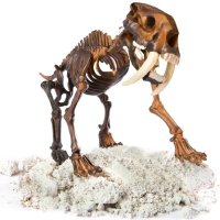 Arqueojugando Smilodon fluorescente