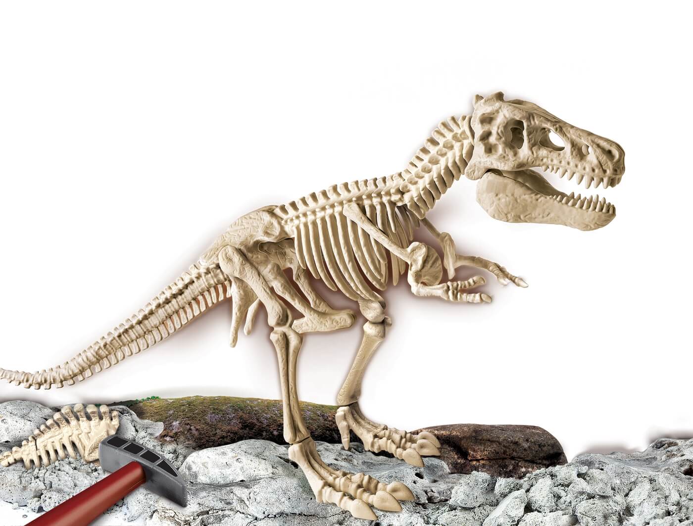 Arqueojugando Esqueleto Gran T-Rex ( Clementoni 55109 ) imagen a