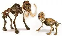 Arqueojugando Smilodon y Mamut fluorescente