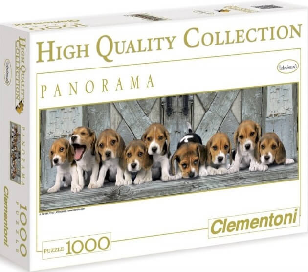 1000 Beagles. PANORAMA