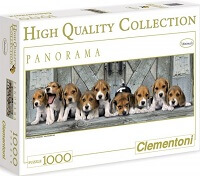1000 Beagles. PANORAMA