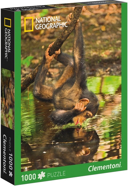 1000 NATIONAL GEOGRAPHIC, Chimpancé