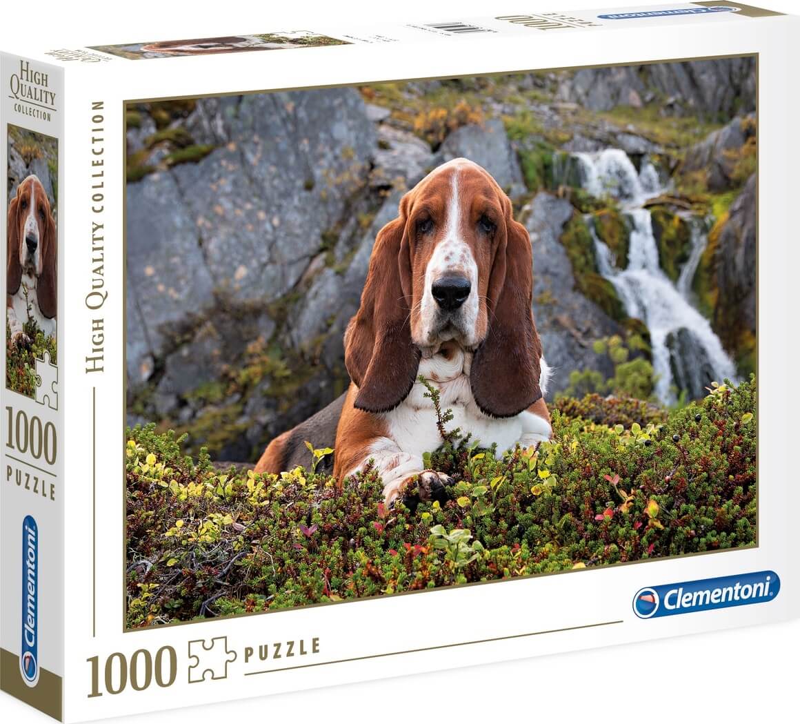 1000 Charlie Brown