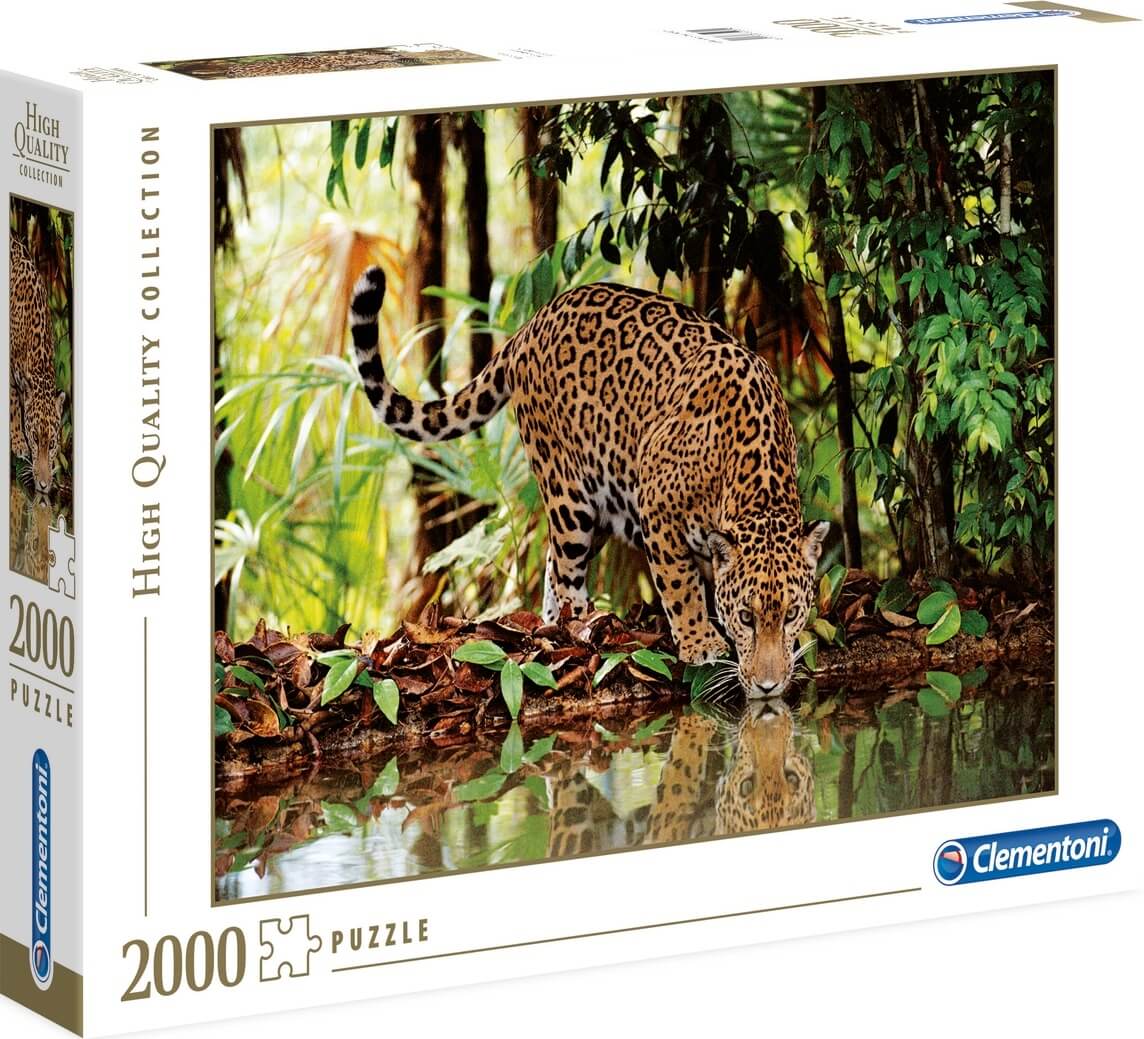 2000 Leopardo