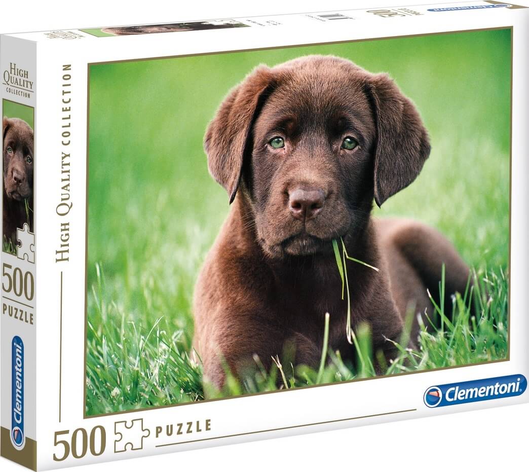 500 Cachorro Chocolate