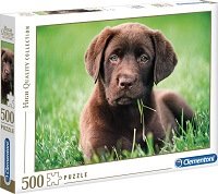 500 Cachorro Chocolate