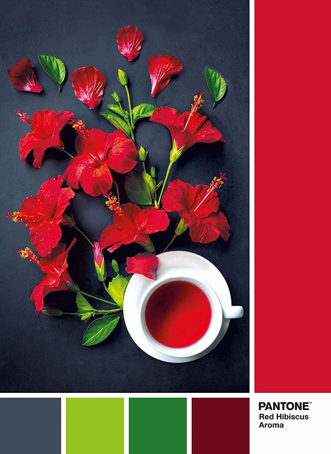 1000 Pantone Aroma de hibisco rojo ( Clementoni 39494 ) imagen a