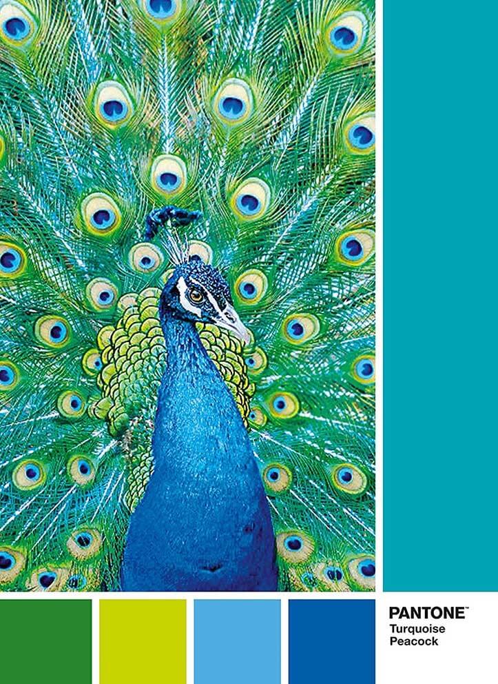 1000 Pantone Pavo real turquesa ( Clementoni 39495 ) imagen a