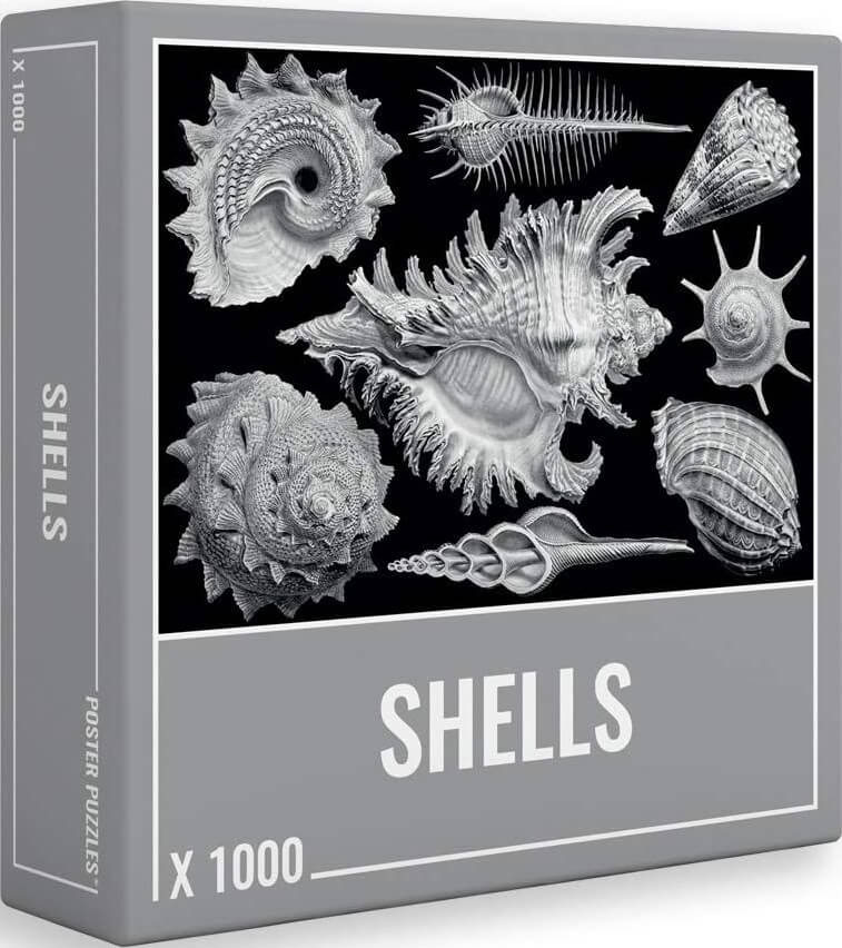 1000 Shells ( Cloudberries 3007 ) imagen b