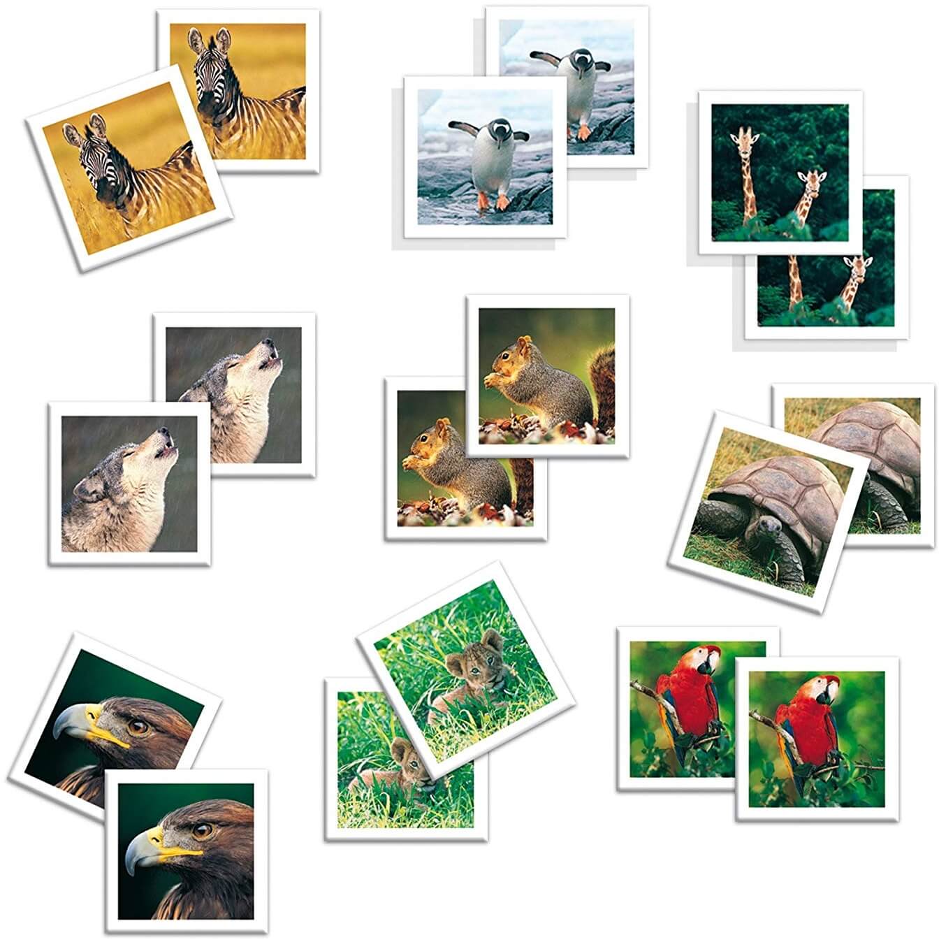 Memo photo animals ( Diset 68941 ) imagen a