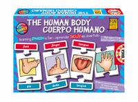 El cuerpo humano en inglés