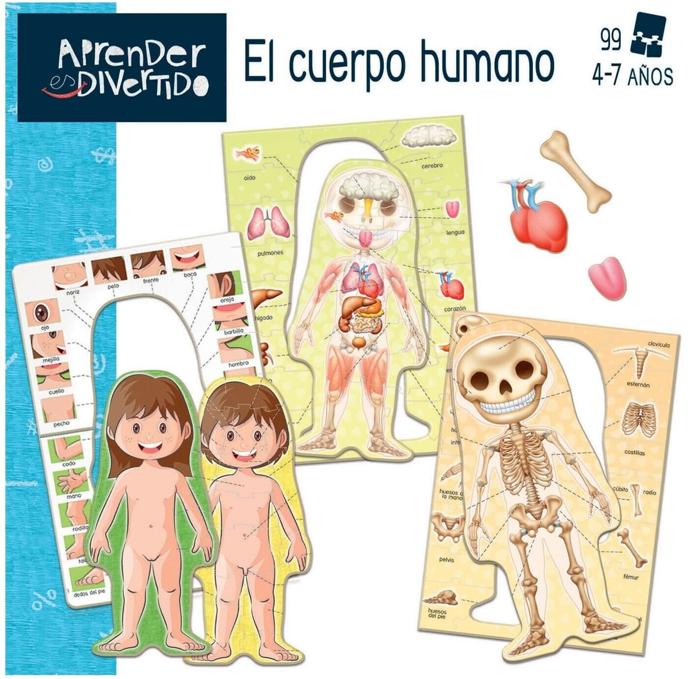 El cuerpo humano Aprender es Divertido ( Educa 18701 ) imagen a