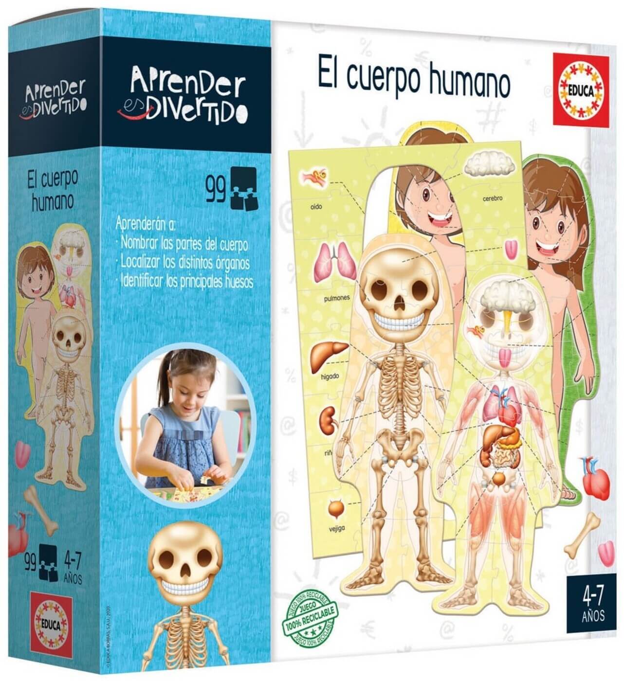 El cuerpo humano Aprender es Divertido ( Educa 18701 ) imagen b
