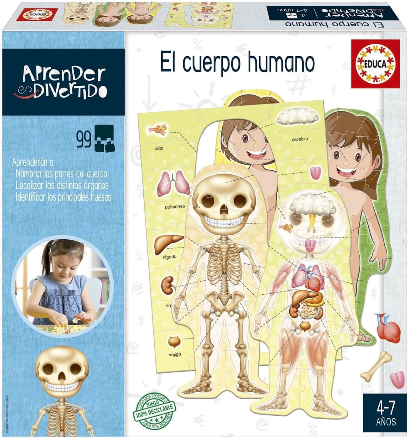 El cuerpo humano Aprender es Divertido ( Educa 18701 ) imagen d
