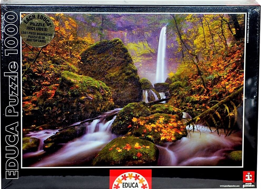 1000 Lluvia de Noviembre