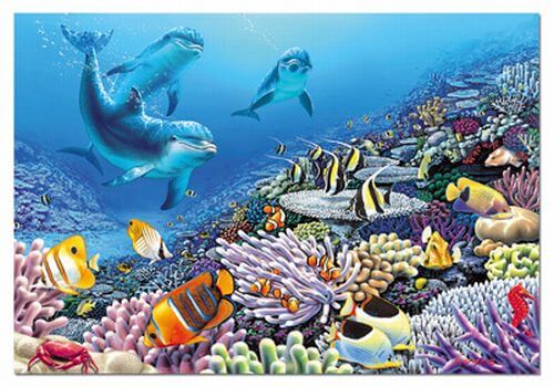 1000 Compañeros de arrecife