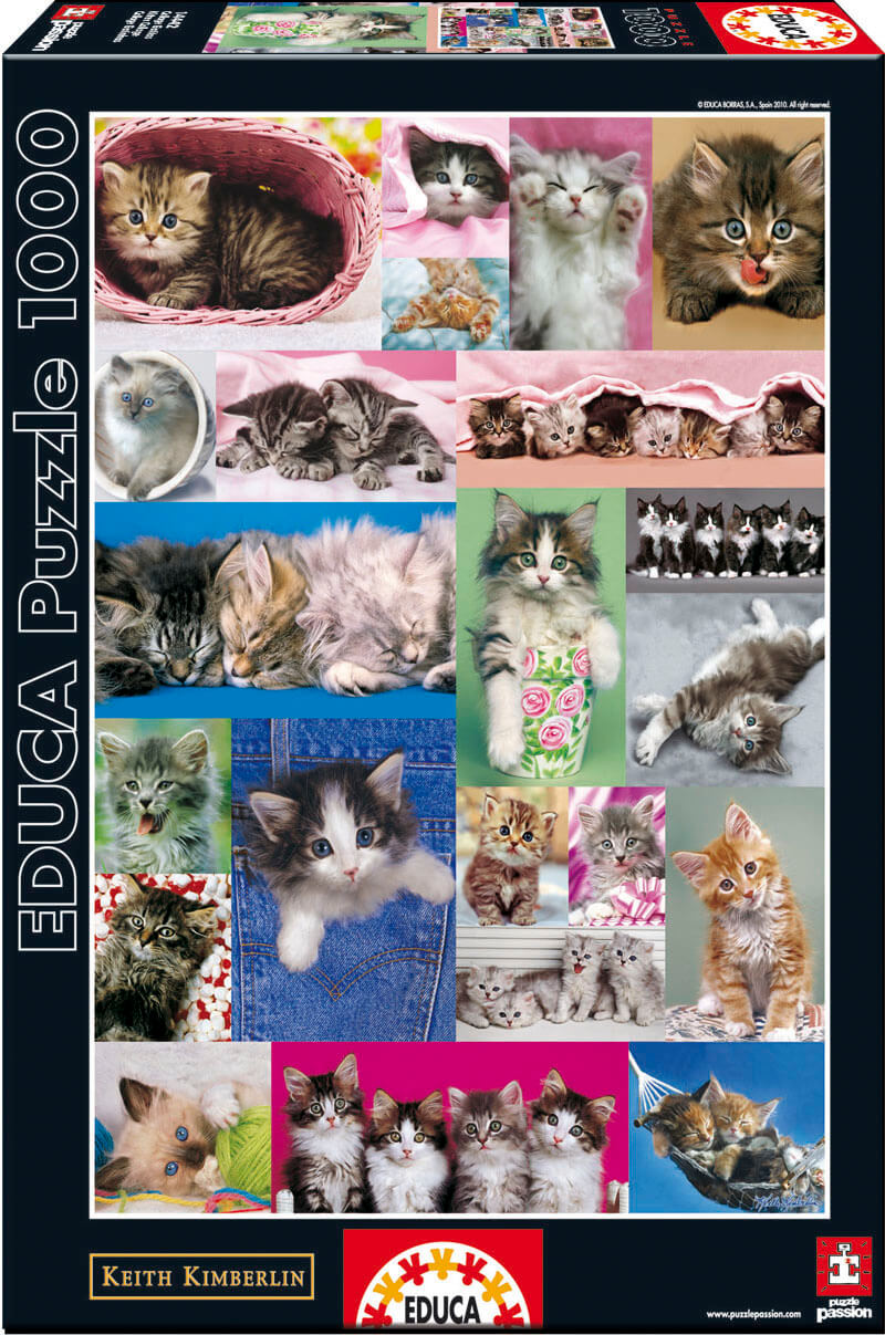 1000 Collage gatitos