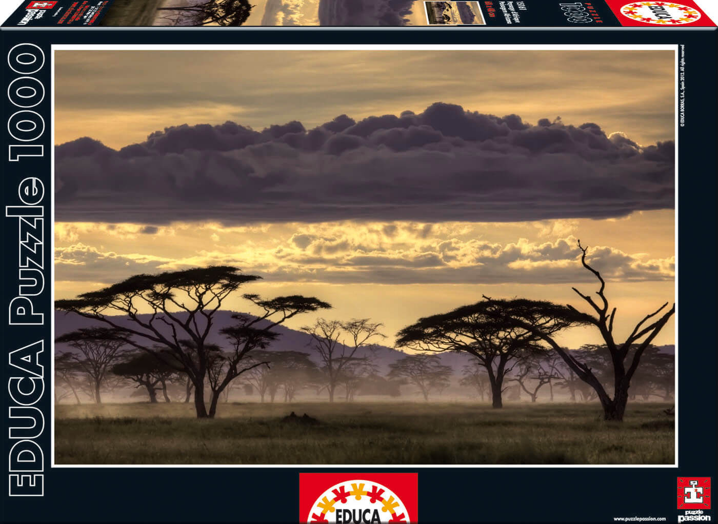 1000 Paisaje Africano