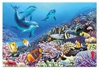 1000 Compañeros de arrecife