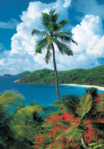 1500 Isla de Mahe, Seychelles