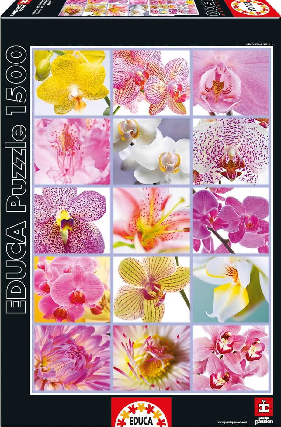 1500 Collage de Flores