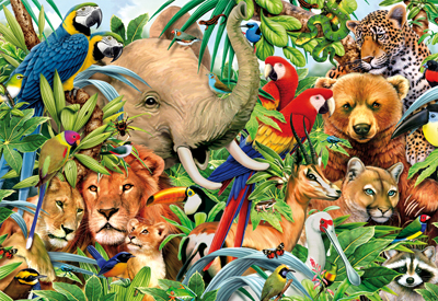 500 Mundo Animal