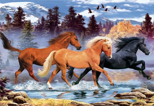 500 Manada de Caballos