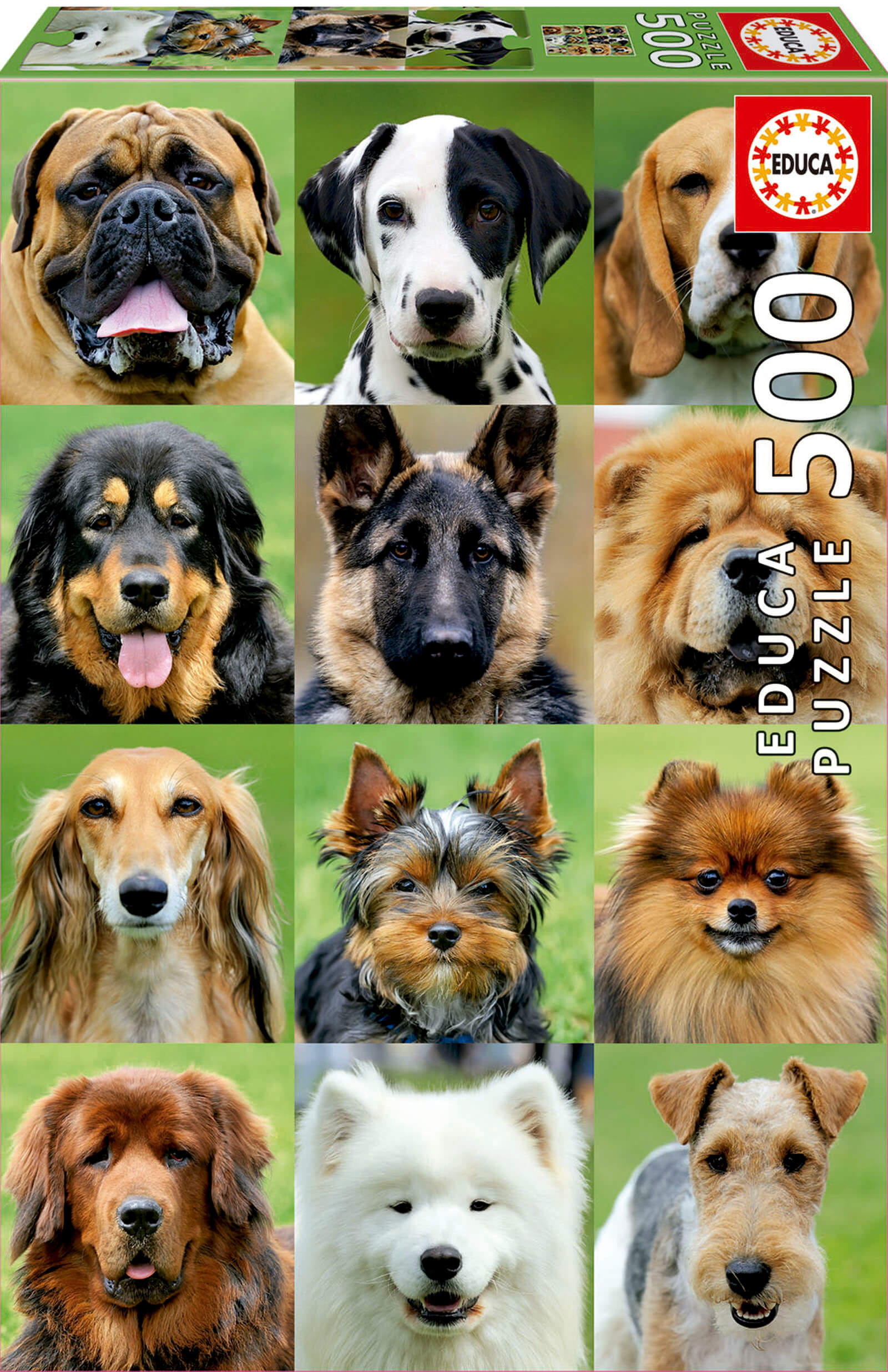 500 Collage de perros