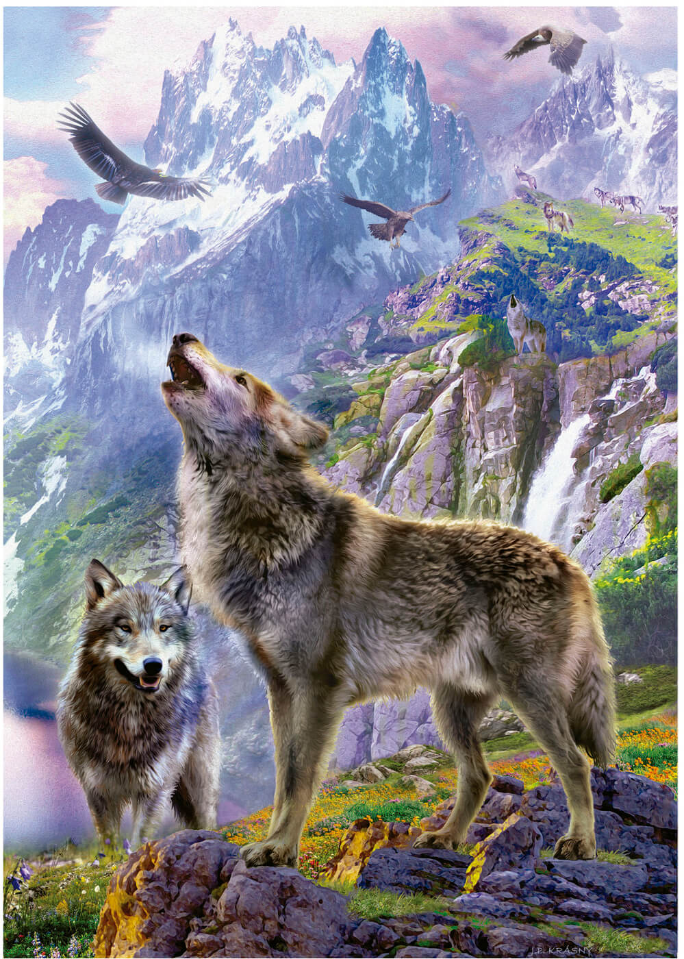 500 Lobos en las Rocas ( Educa 19548 ) imagen b