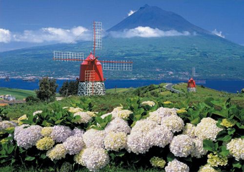 500 Faial, Las Azores, Portugal ( Educa 12014 ) imagen a