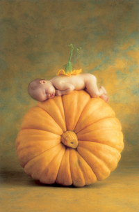 1000 Miniature Country Pumpkin