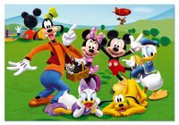 500 La Casa de Mickey Mouse