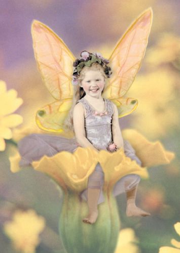 500 Darling Dandelion