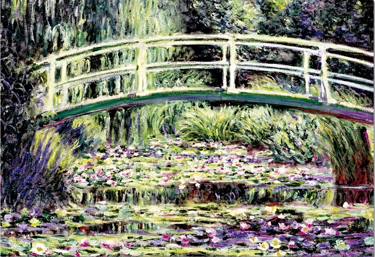 1500 Nenúfares Blancos, Monet ( Educa 15535 ) imagen a