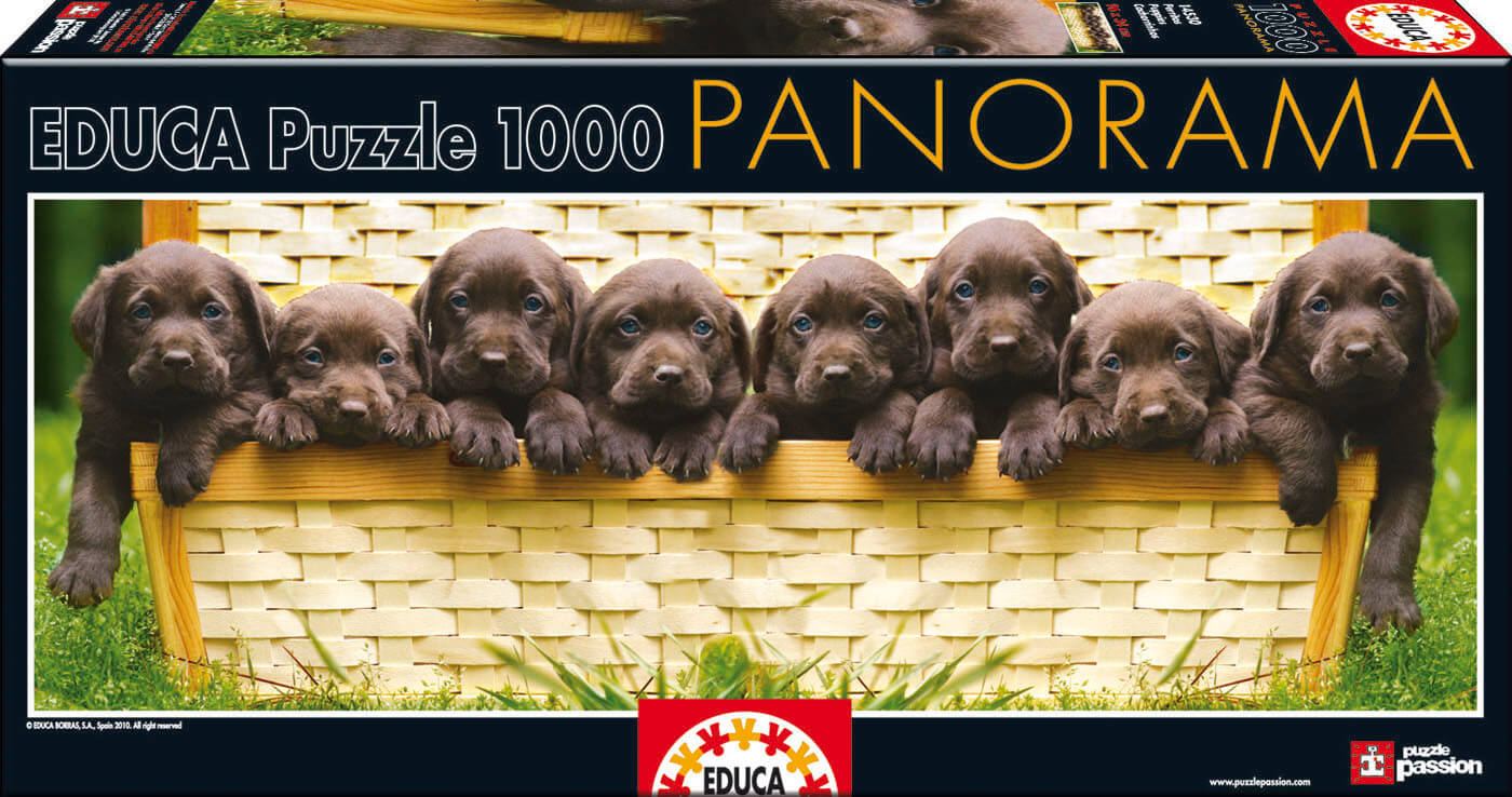 1000 Perritos