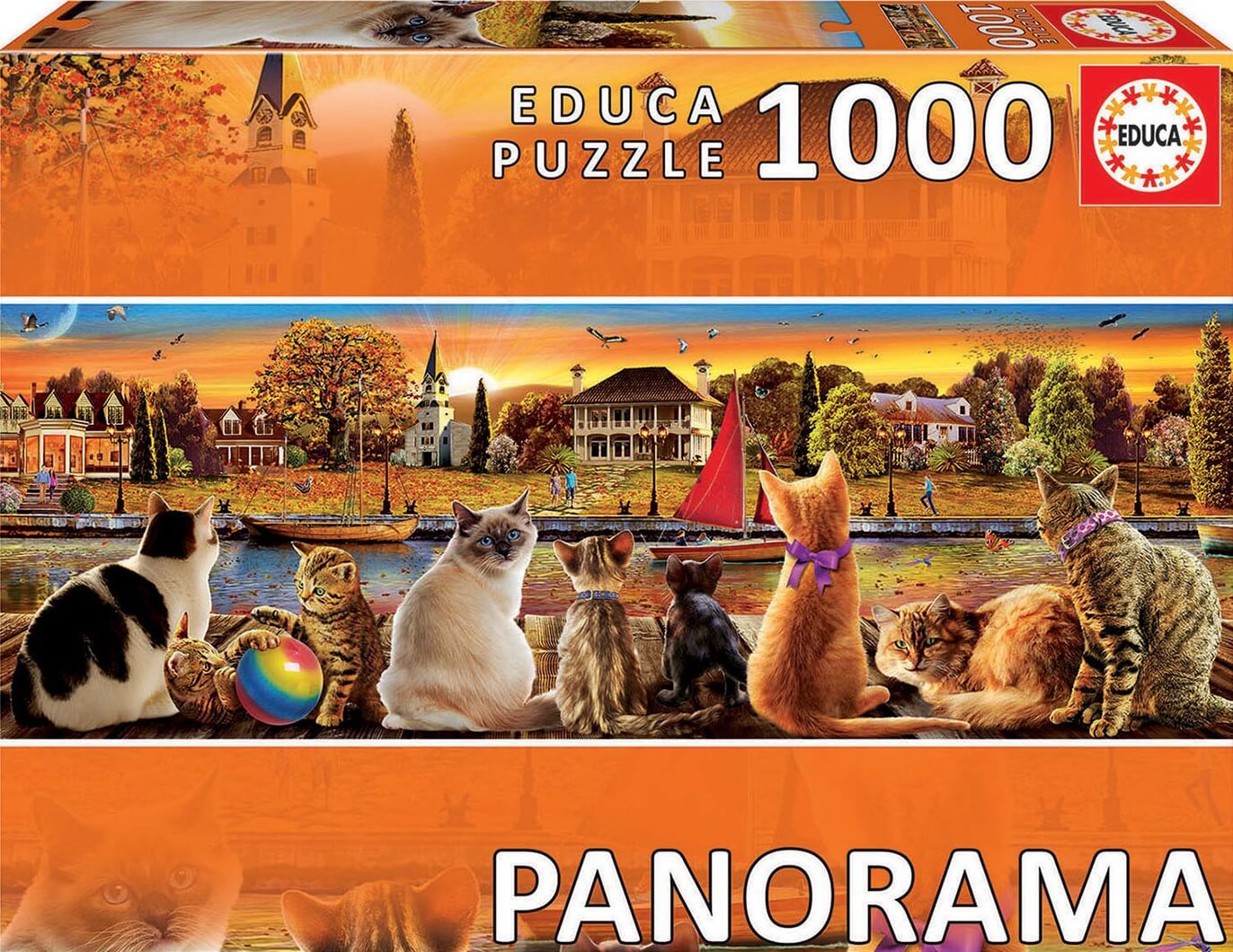 1000 Panorama Gatos en el embarcadero