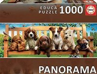 1000 Panorama Perritos en el banco