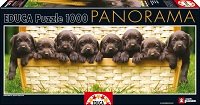 1000 Perritos