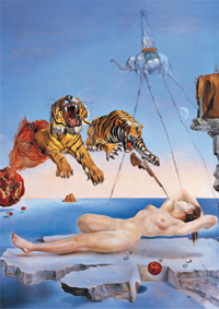 1500 Sueño Causado por El Vuelo de una Abeja Antes de Despertar, Dalí
