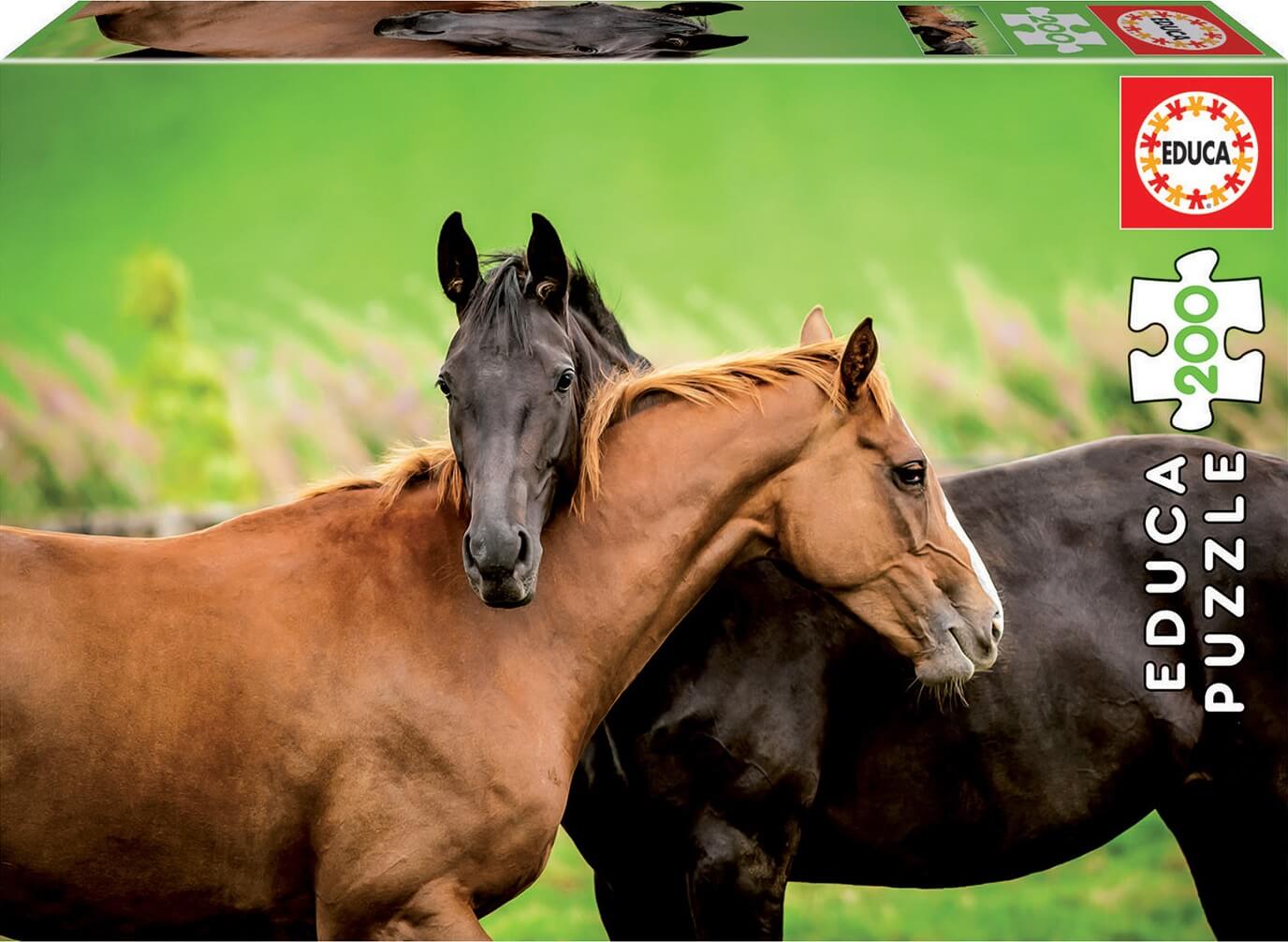 200 Caballos