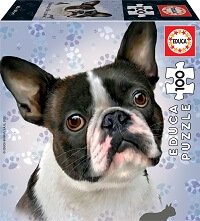 100 Razas de Perros Bulldog Frances