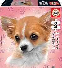 100 Razas de Perros Chihuahua