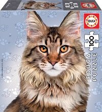 100 Razas de Gatos Coon de Maine