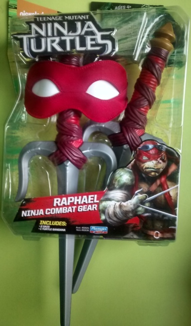 Raphael Ninja Combat