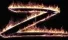 Zorro