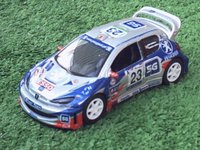 Peugeot 206 WRC Silverteam