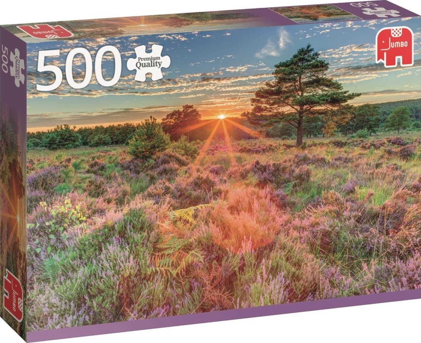500 Brezo al amanecer