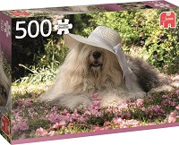 500 Sophie en un lecho de flores