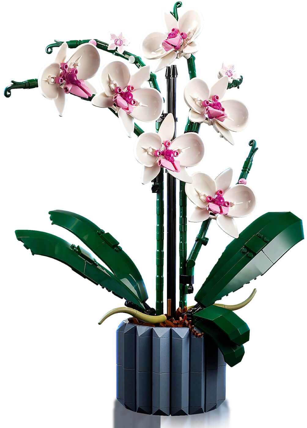 Orquideas ( Lego 10311 ) imagen b